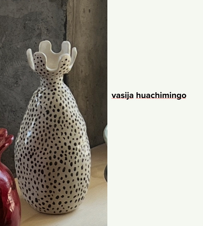 Vasija Huachimingo